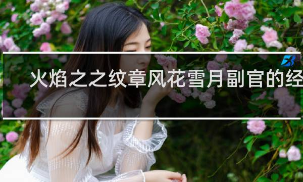 火焰之之纹章风花雪月副官的经验