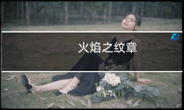 火焰之纹章 无双攻略