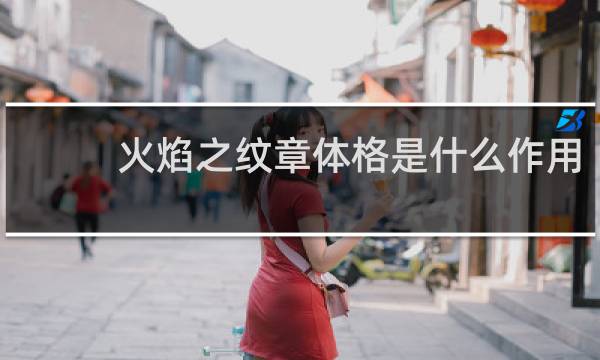 火焰之纹章体格是什么作用