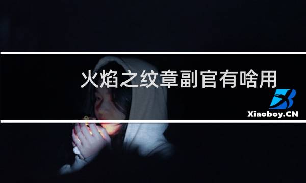 火焰之纹章副官有啥用