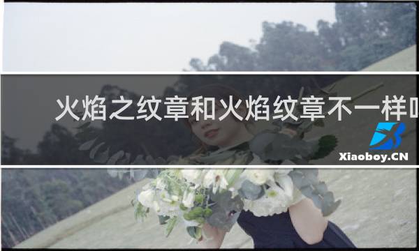 火焰之纹章和火焰纹章不一样吗