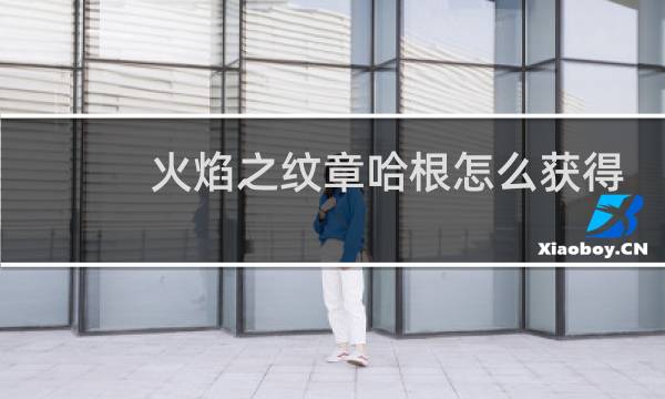 火焰之纹章哈根怎么获得