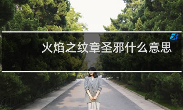 火焰之纹章圣邪什么意思