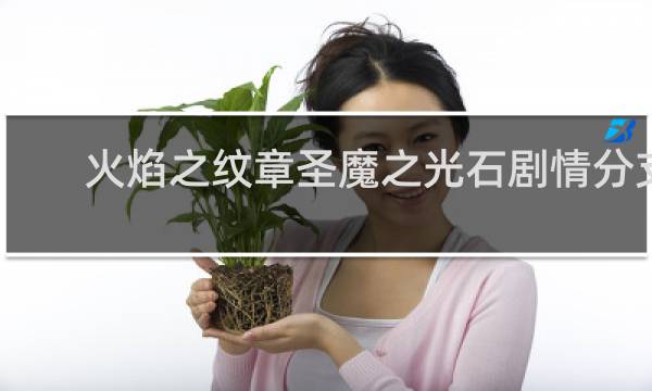 火焰之纹章圣魔之光石剧情分支