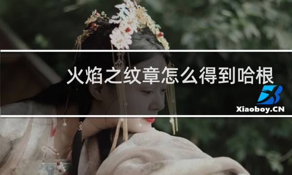 火焰之纹章怎么得到哈根