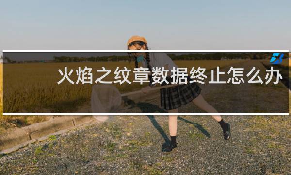 火焰之纹章数据终止怎么办