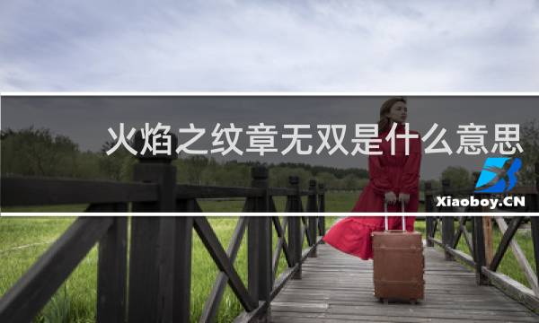 火焰之纹章无双是什么意思