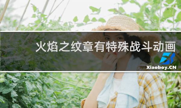 火焰之纹章有特殊战斗动画