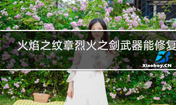 火焰之纹章烈火之剑武器能修复吗