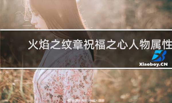 火焰之纹章祝福之心人物属性