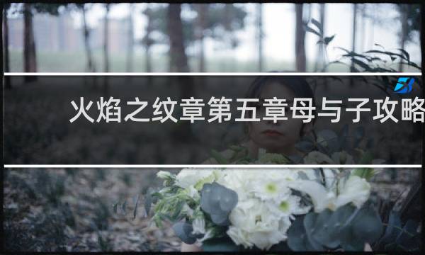 火焰之纹章第五章母与子攻略