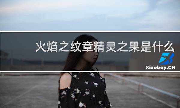 火焰之纹章精灵之果是什么