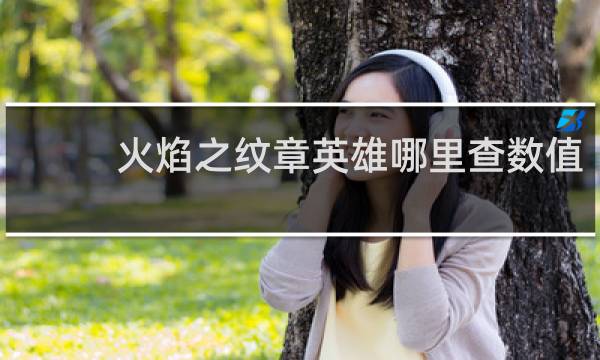 火焰之纹章英雄哪里查数值