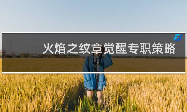 火焰之纹章觉醒专职策略