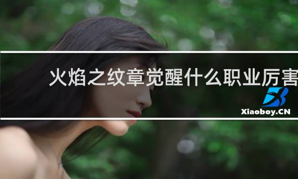 火焰之纹章觉醒什么职业厉害