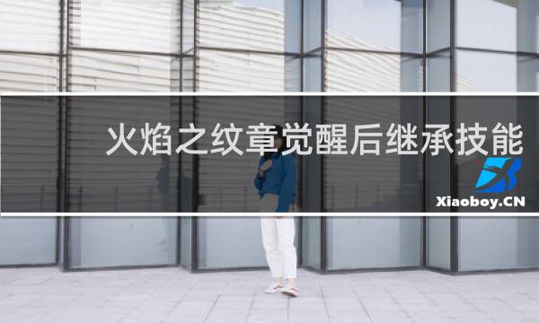 火焰之纹章觉醒后继承技能