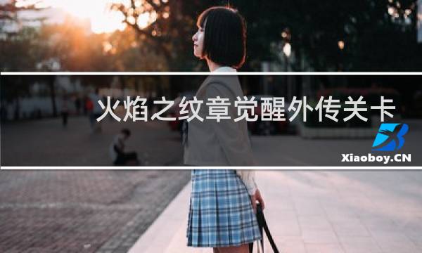 火焰之纹章觉醒外传关卡