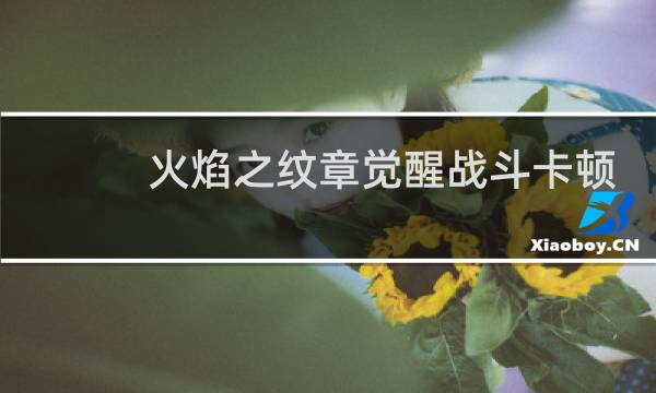 火焰之纹章觉醒战斗卡顿