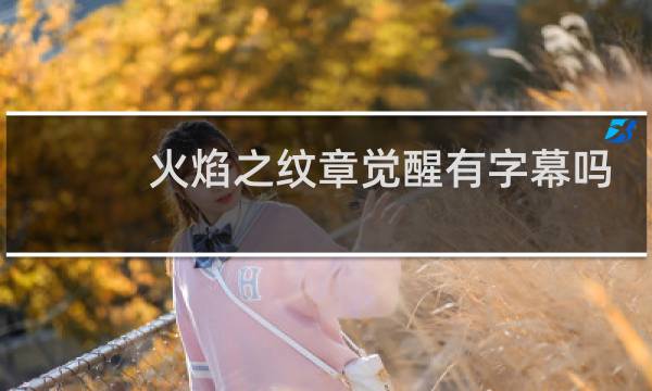 火焰之纹章觉醒有字幕吗