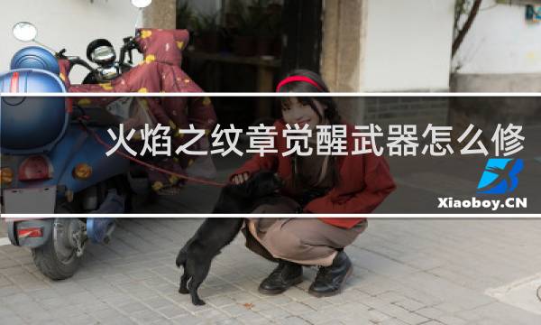 火焰之纹章觉醒武器怎么修