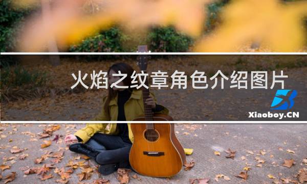 火焰之纹章角色介绍图片