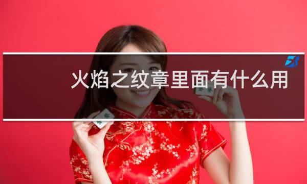 火焰之纹章里面有什么用