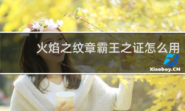 火焰之纹章霸王之证怎么用