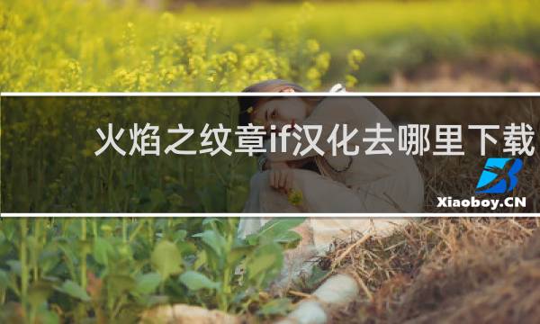 火焰之纹章if汉化去哪里下载