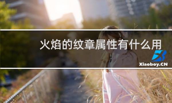 火焰的纹章属性有什么用