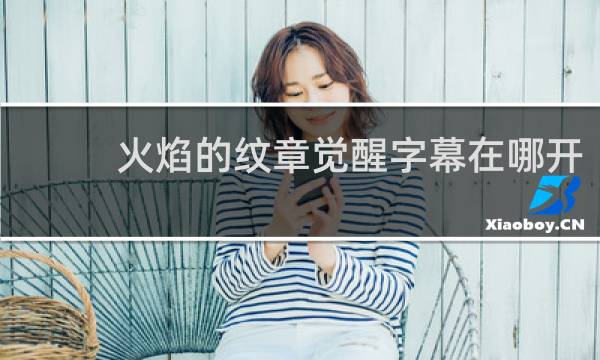 火焰的纹章觉醒字幕在哪开