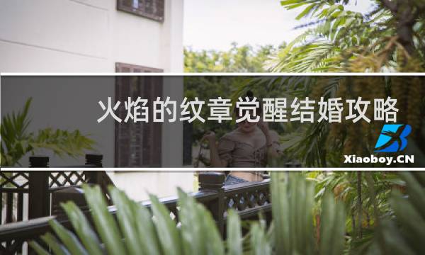 火焰的纹章觉醒结婚攻略