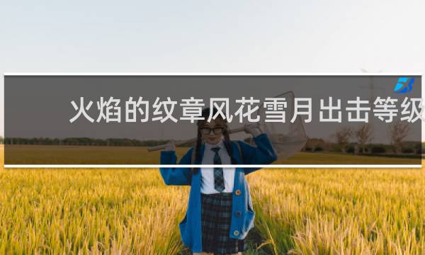 火焰的纹章风花雪月出击等级