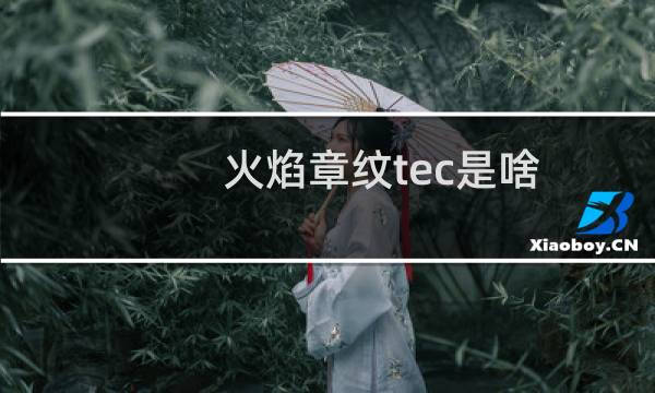 火焰章纹tec是啥