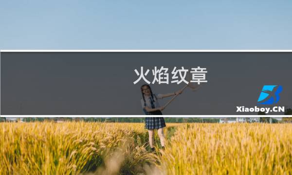 火焰纹章 军师技能