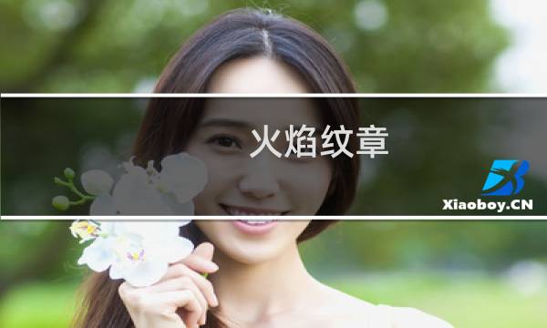 火焰纹章 封印之剑装备