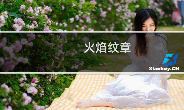 火焰纹章 提升指导等级