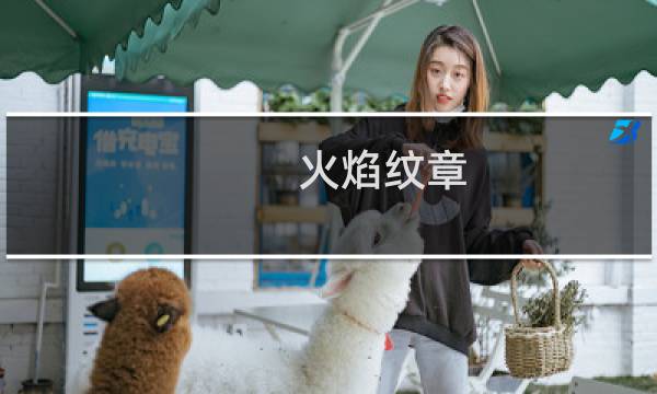 火焰纹章 游玩时是否连接网络