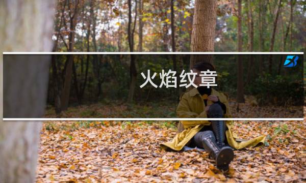 火焰纹章 英雄 哪里下载