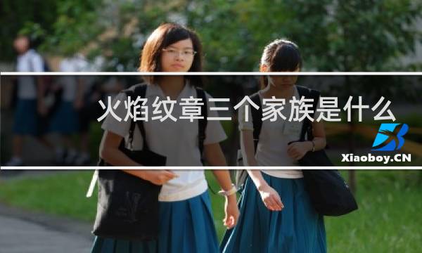 火焰纹章三个家族是什么