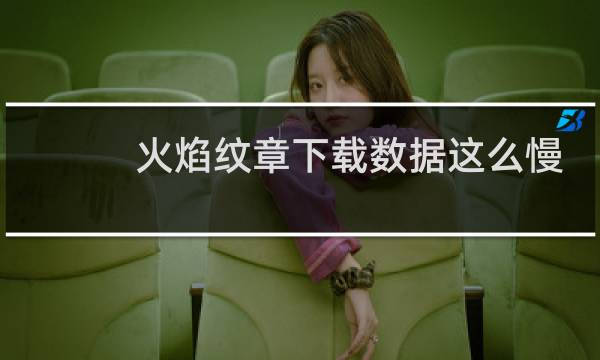 火焰纹章下载数据这么慢