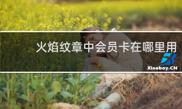 火焰纹章中会员卡在哪里用