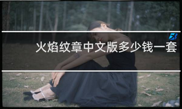 火焰纹章中文版多少钱一套