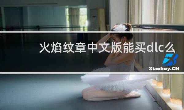 火焰纹章中文版能买dlc么