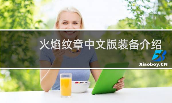 火焰纹章中文版装备介绍