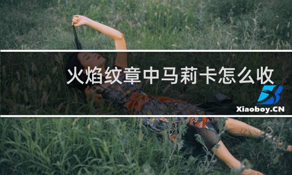 火焰纹章中马莉卡怎么收