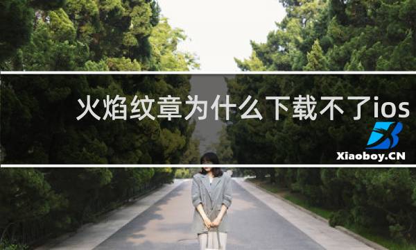 火焰纹章为什么下载不了ios