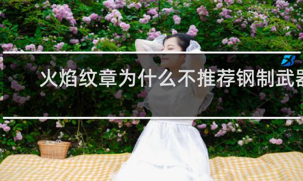 火焰纹章为什么不推荐钢制武器