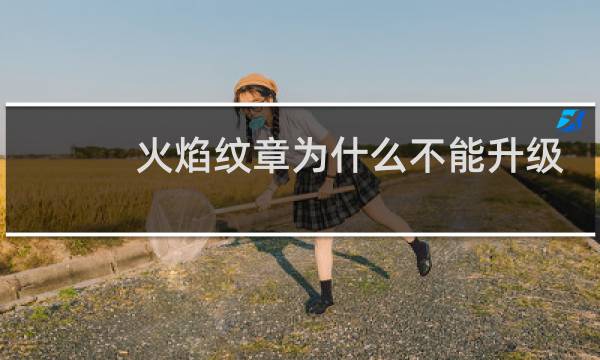 火焰纹章为什么不能升级