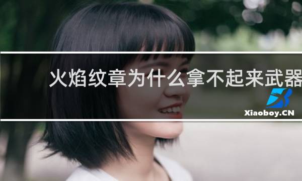 火焰纹章为什么拿不起来武器