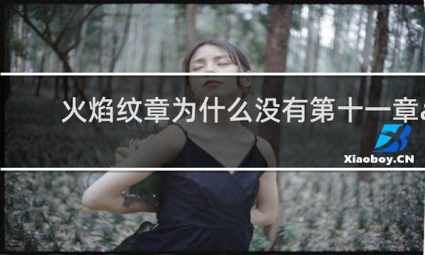 火焰纹章为什么没有第十一章a